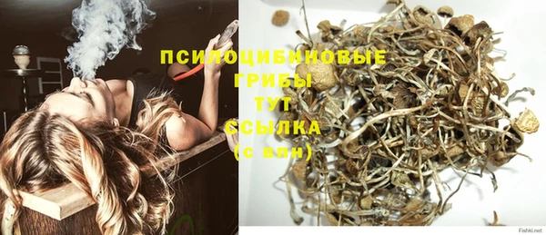МДПВ Аркадак