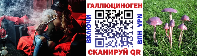 Псилоцибиновые грибы Psilocybine cubensis  Ясногорск 