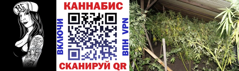 где можно купить наркотик  Ясногорск  Бошки Шишки индика 